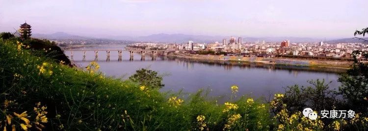 安康哪里产富硒大米最多（陕西省安康大米怎么样）-硒宝网