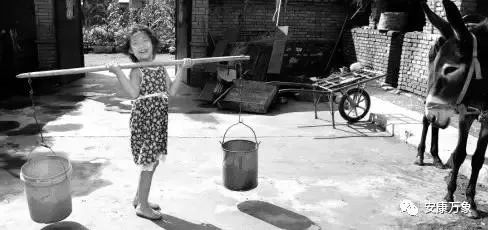 安康哪里产富硒大米最多（陕西省安康大米怎么样）-硒宝网