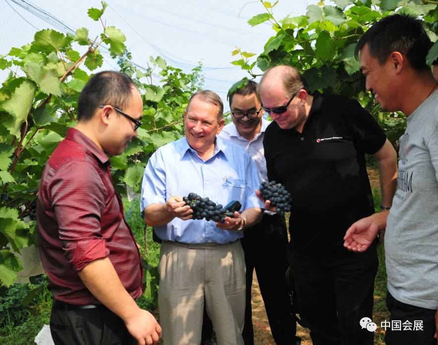 贵州富硒大米有什么广告(富硒大米广告词语)-硒宝网