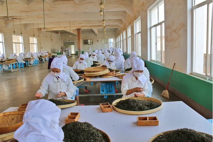 安康哪里产富硒大米最多(安康大米产富硒玉米吗)-硒宝网