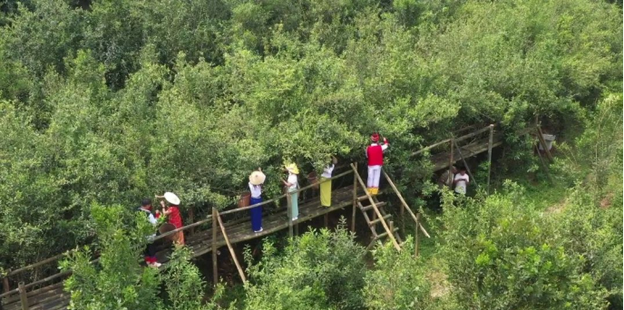 安康哪里产富硒大米最多(安康大米产富硒玉米吗)-硒宝网