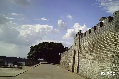 贵州富硒大米有什么广告(富硒大米传销)-硒宝网