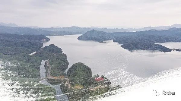 贵州富硒大米有什么广告(富硒大米传销)-硒宝网