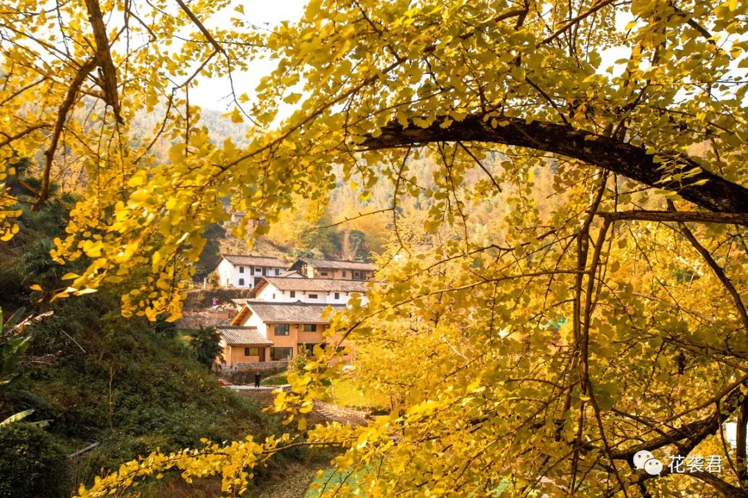 贵州富硒大米有什么广告(富硒大米传销)-硒宝网