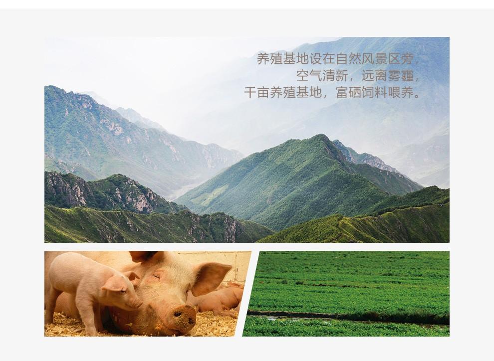 上海有机富硒大米的健康(富硒优质大米)-硒宝网