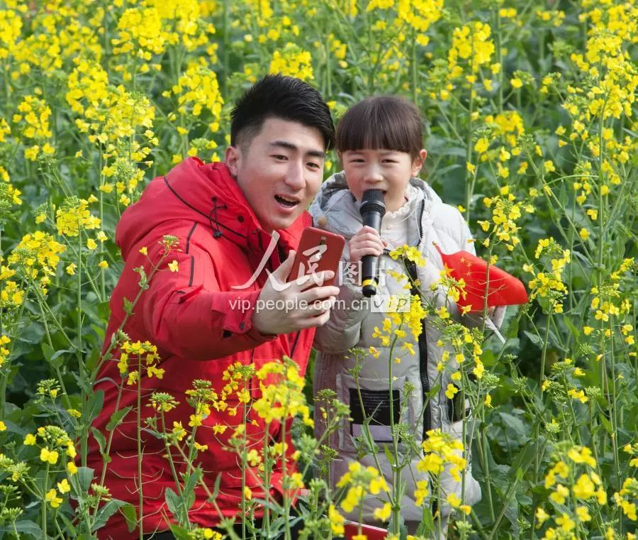 富硒大米主要产地在哪里(大米产地富硒主要成分)-硒宝网