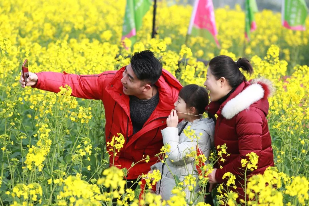 富硒大米主要产地在哪里(大米产地富硒主要成分)-硒宝网