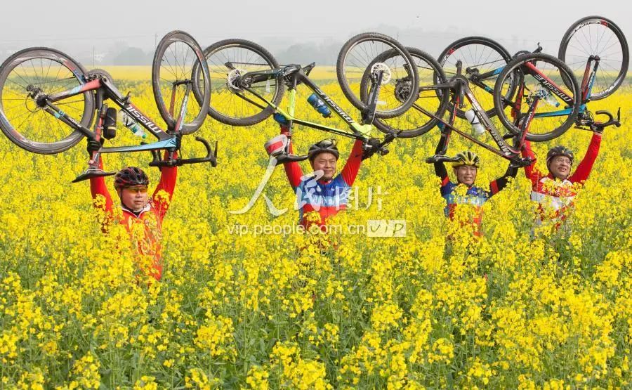 富硒大米主要产地在哪里(大米产地富硒主要成分)-硒宝网