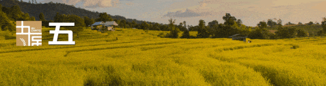 富硒大米的销售广告策略（销售大米的宣传广告）-硒宝网