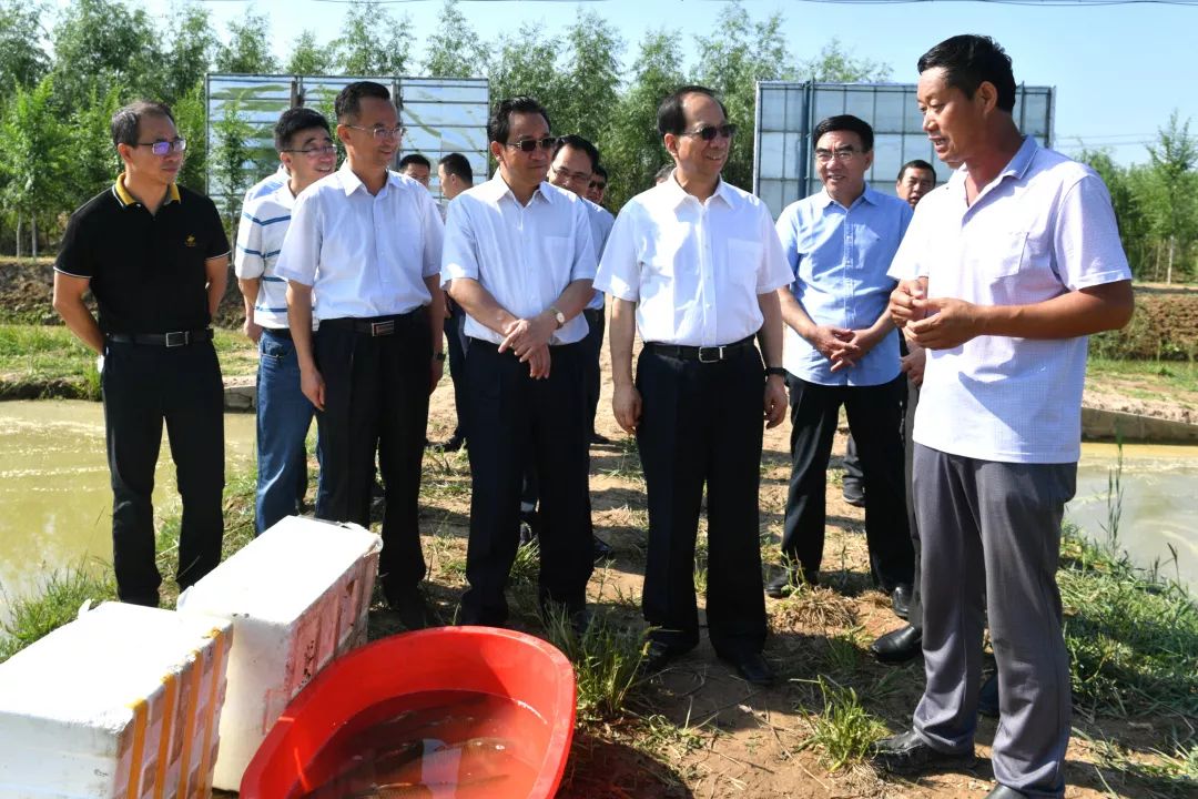 青岛有机富硒大米品牌化(青岛大米加工厂家有哪些)-硒宝网