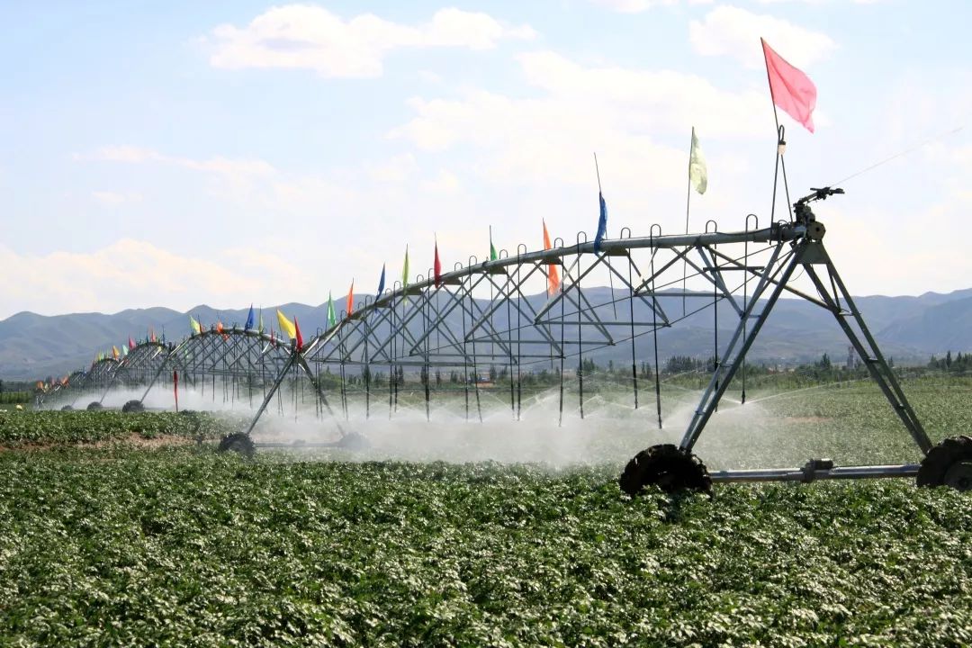 青岛有机富硒大米品牌化(青岛大米加工厂家有哪些)-硒宝网