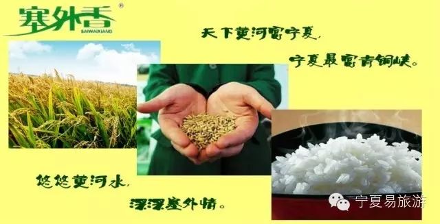 宁夏塞外香富硒大米品牌（塞外香富硒大米介绍）-硒宝网