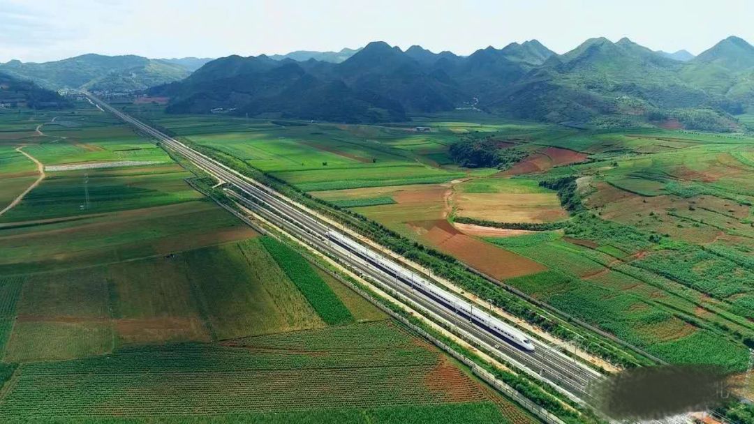 富硒的大米呈现什么颜色(富硒大米闻起来是什么味道)-硒宝网