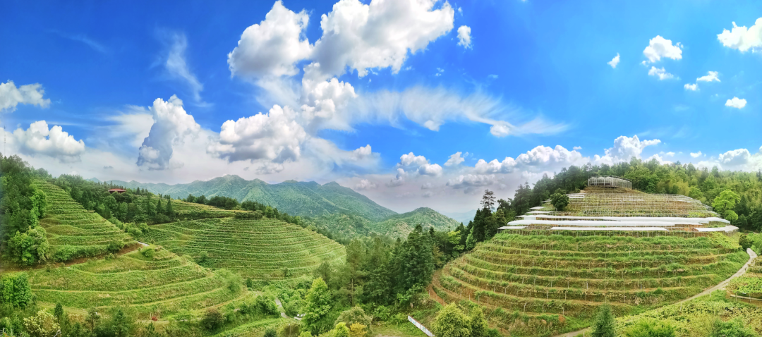 东北富硒大米有没有基金(东北有机富硒大米)-硒宝网