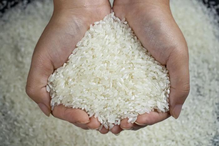 富硒大米哪个产地好吃点（哪里的大米含硒量最高）-硒宝网