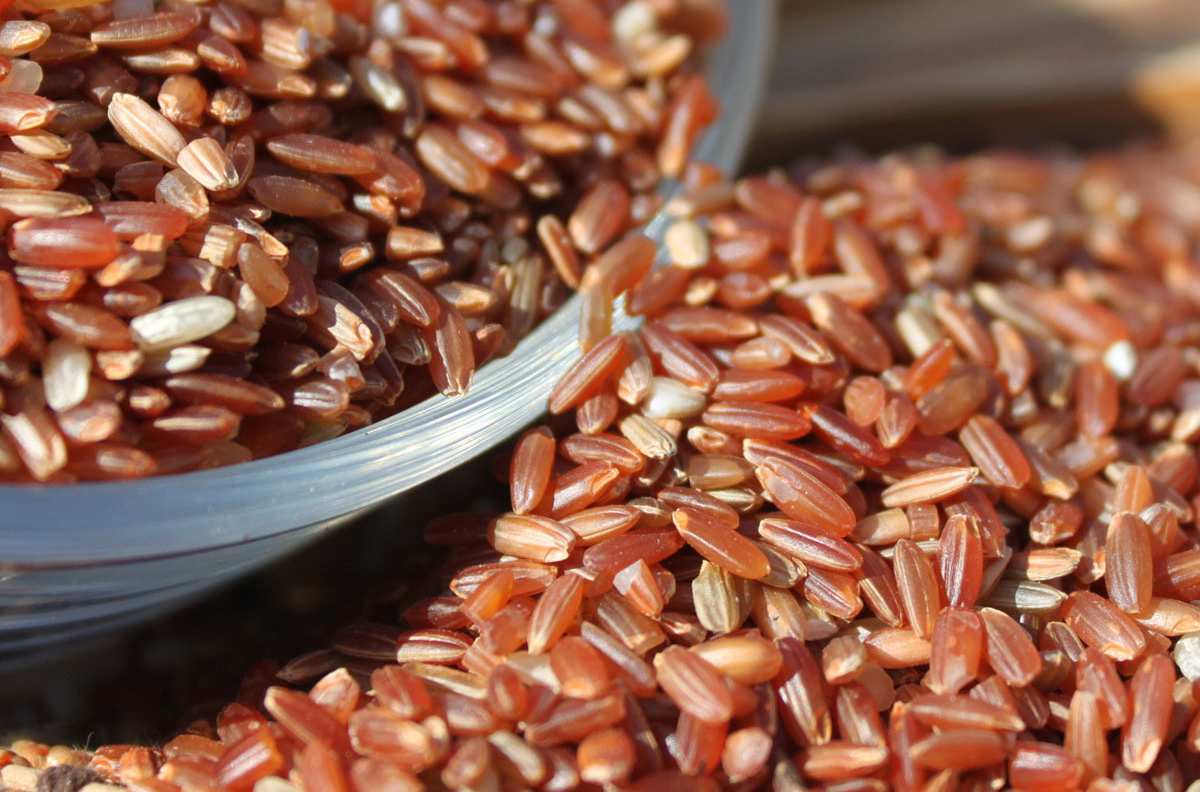 富硒大米哪个产地好吃点（哪里的大米含硒量最高）-硒宝网