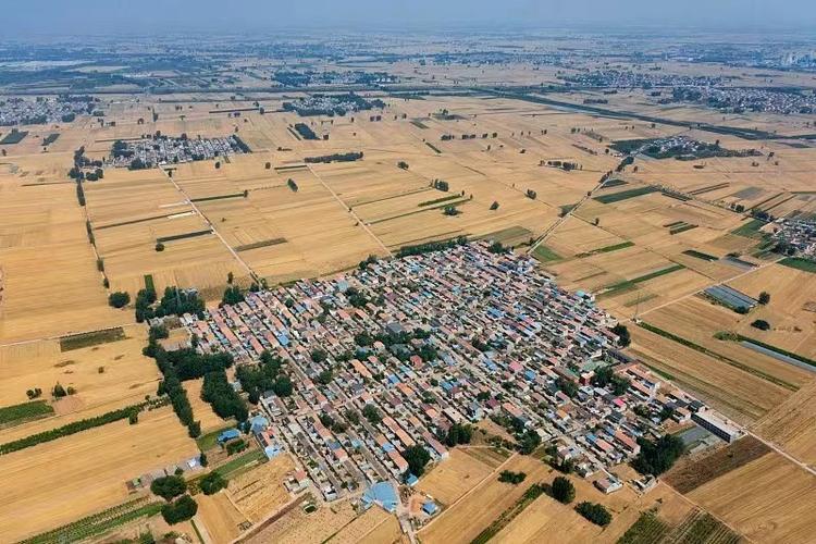 富硒大米哪个产地好吃点（哪里的大米含硒量最高）-硒宝网