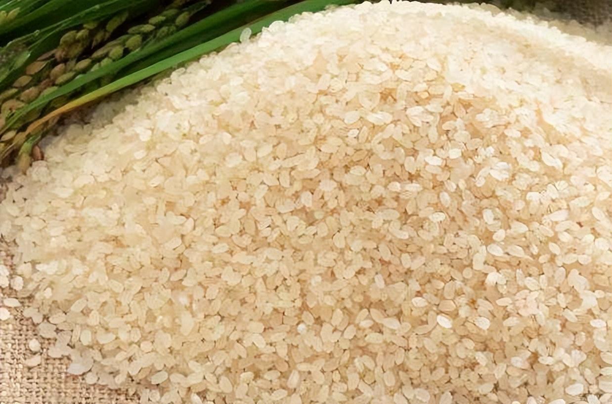 富硒大米哪个产地好吃点（哪里的大米含硒量最高）-硒宝网