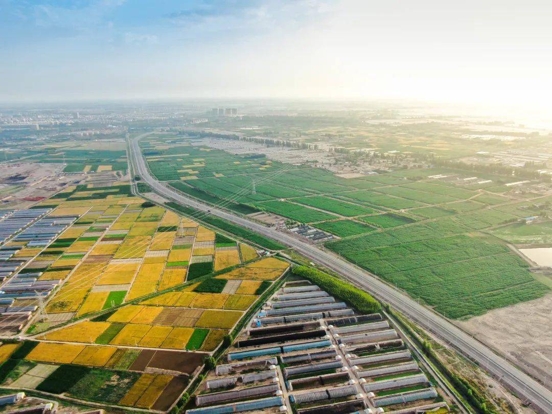 富硒大米哪个产地好吃点（哪里的大米含硒量最高）-硒宝网