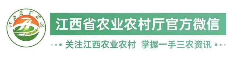 江西哪里有富硒大米批发(富硒大米厂家)-硒宝网