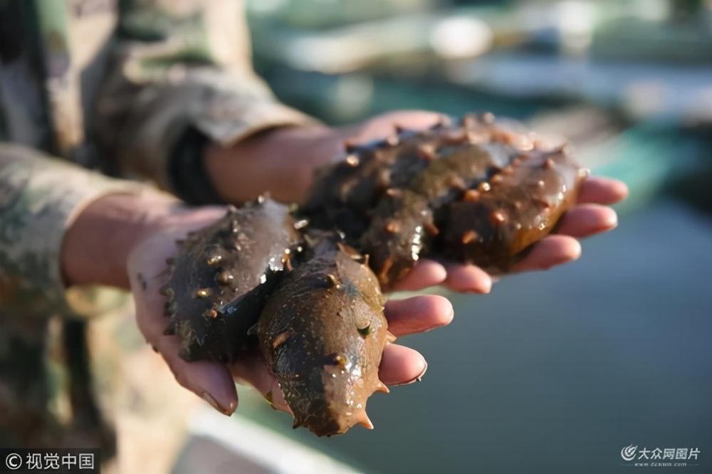青岛如何淘有机富硒大米(富硒大米厂家)-硒宝网