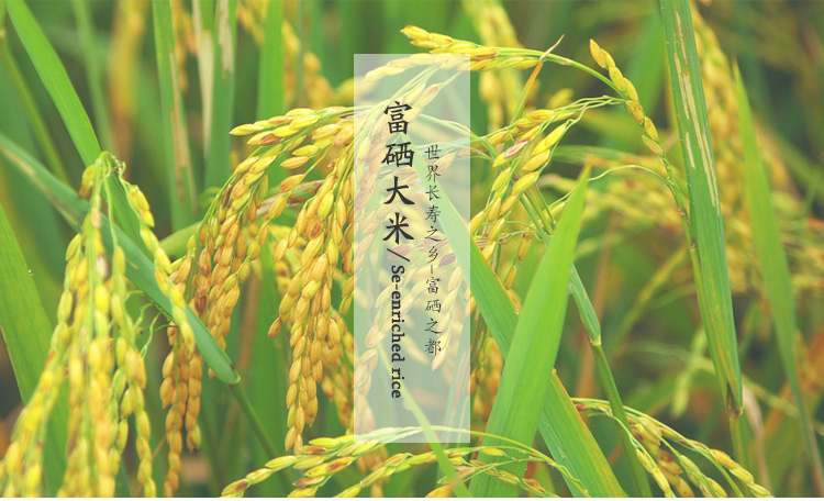 富硒大米的市场定位方式（富硒大米指标）-硒宝网