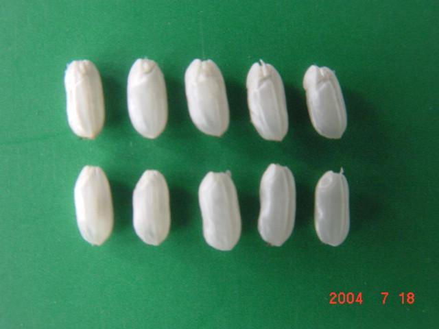 江苏如皋富硒大米好在哪(江苏富硒米多少钱一斤)-硒宝网