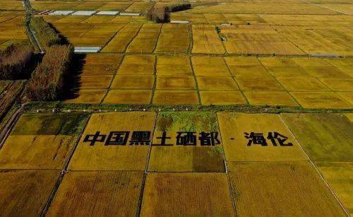 长寿乡富硒大米种植基地（富硒大米之乡）-硒宝网