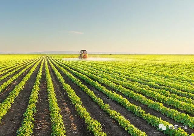 南京富硒大米产地的战略（南京大米加工企业）-硒宝网