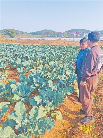 中国哪个地方产富硒大米（大米产地方富硒中国排第几）-硒宝网