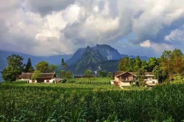 湖北恩施大米真的富硒吗(恩施富硒米哪个品牌好)-硒宝网