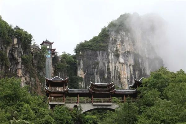 湖北恩施大米真的富硒吗(恩施富硒米哪个品牌好)-硒宝网