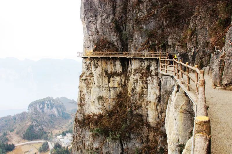 湖北恩施大米真的富硒吗(恩施富硒米哪个品牌好)-硒宝网