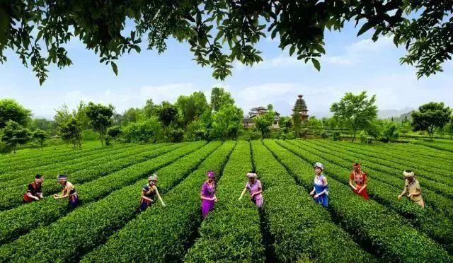 湖北恩施大米真的富硒吗(恩施富硒米哪个品牌好)-硒宝网