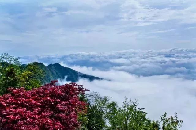 湖北恩施大米真的富硒吗(恩施富硒米哪个品牌好)-硒宝网