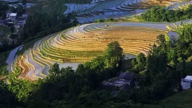 湖北恩施大米真的富硒吗(恩施富硒米哪个品牌好)-硒宝网