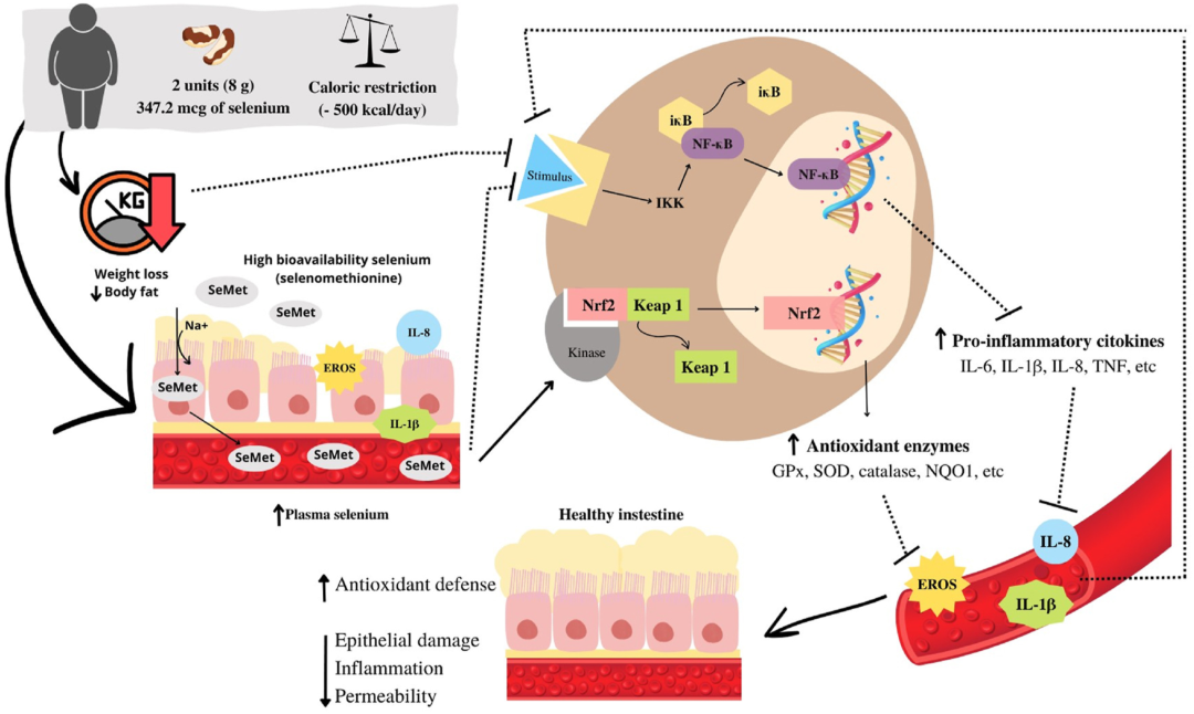 孕妇能吃有机富硒大米吗(孕妇能不能吃富硒米)-硒宝网