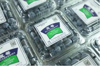 南京有机富硒大米品牌化(南京大米加工企业)-硒宝网