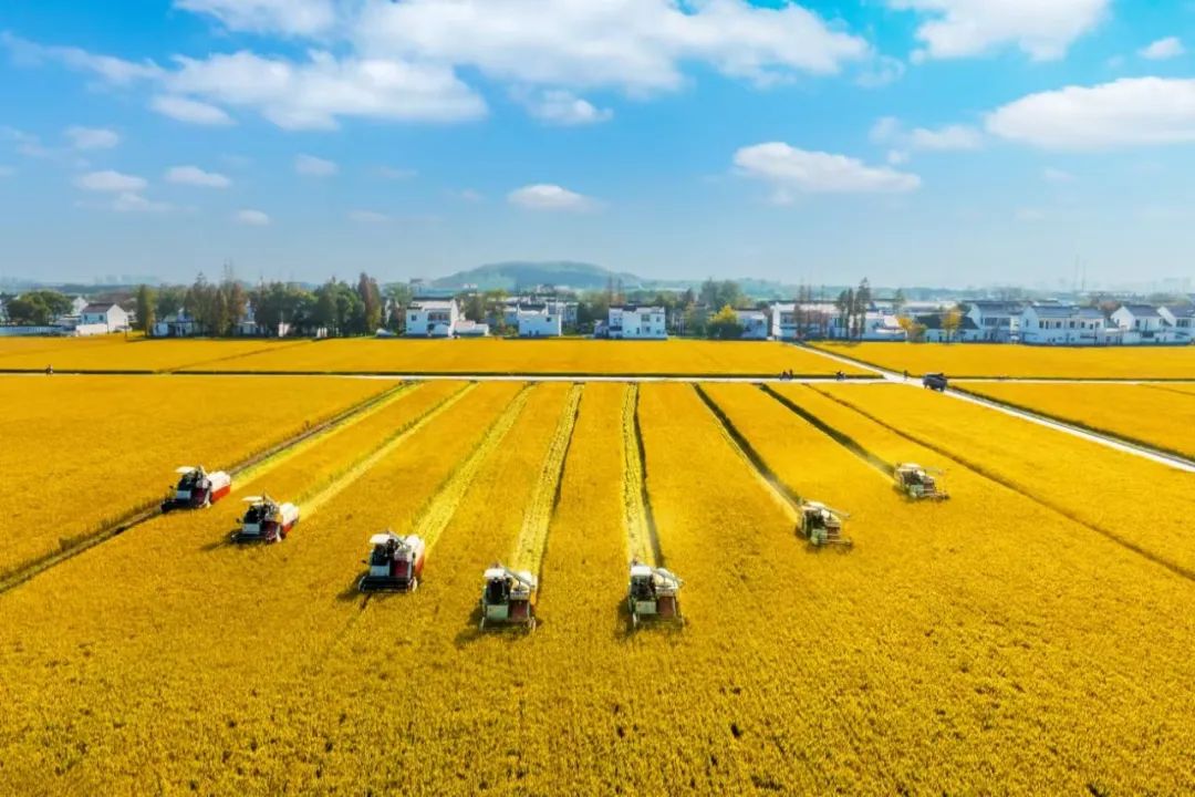 南京有机富硒大米品牌化(南京大米加工企业)-硒宝网