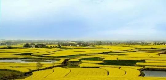 湖北恩施大米真的富硒吗(恩施富硒米多少钱一斤)-硒宝网