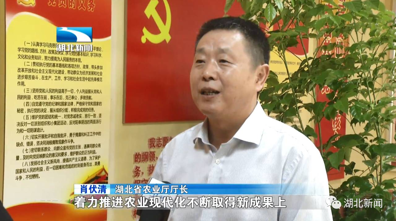 湖北恩施大米真的富硒吗(恩施富硒米多少钱一斤)-硒宝网