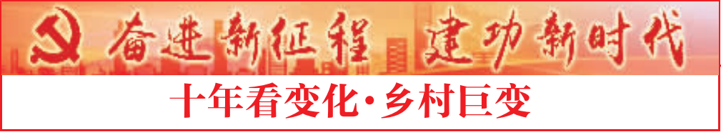 南京富硒大米产地的战略（南京大米市?。?硒宝网