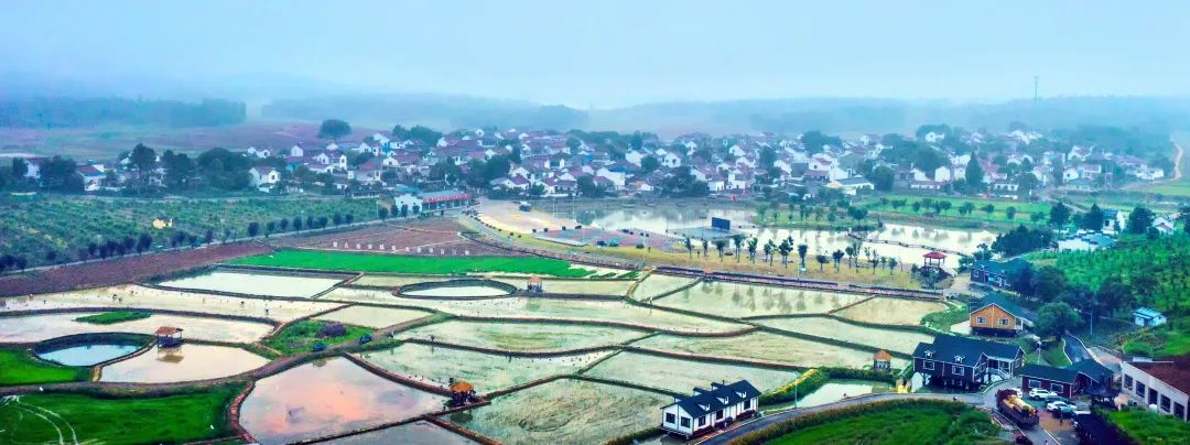 南京富硒大米产地的战略（南京大米市场）-硒宝网