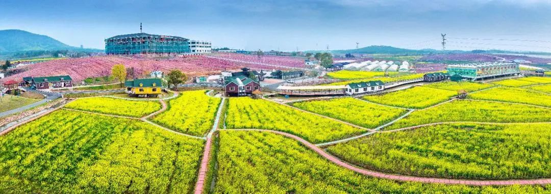 南京富硒大米产地的战略（南京大米市场）-硒宝网