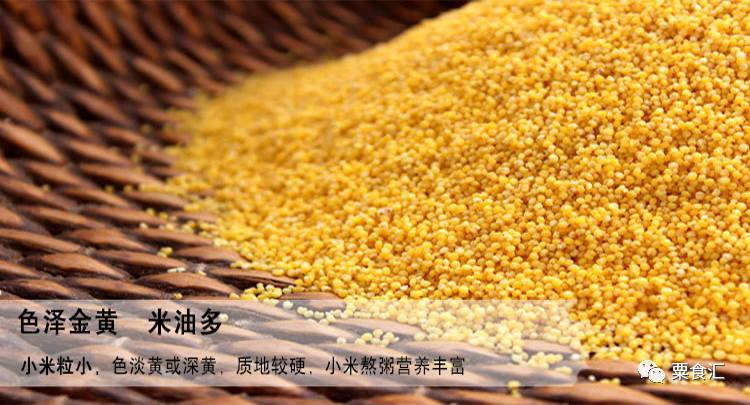 孕妇能吃有机富硒大米吗(硒米孕妇可以吃么)-硒宝网