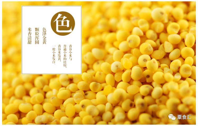 孕妇能吃有机富硒大米吗(硒米孕妇可以吃么)-硒宝网