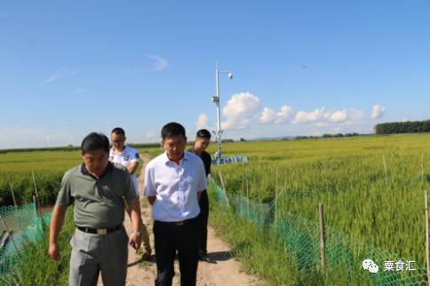 孕妇能吃有机富硒大米吗(硒米孕妇可以吃么)-硒宝网