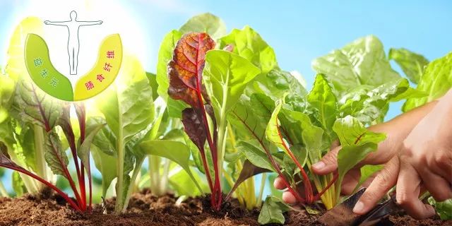 上海有机富硒大米的种植(富硒大米厂家)-硒宝网