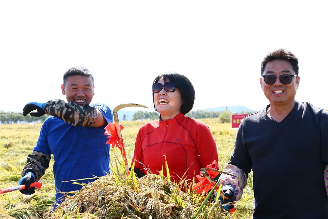 上海有机富硒大米的种植(富硒大米种植成本)-硒宝网