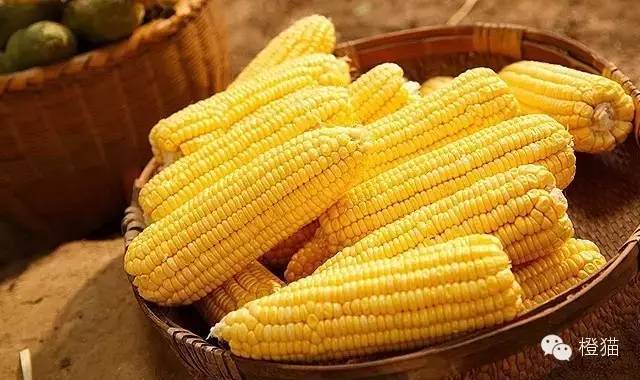 长寿之乡富硒大米好吃吗(富硒大米好吃吗)-硒宝网